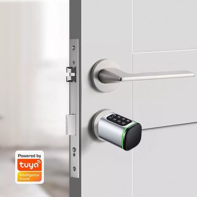 Cartão de memória Smart Digital Lock Tuya Wifi App Segurança para Home Office cilindro oval pequeno