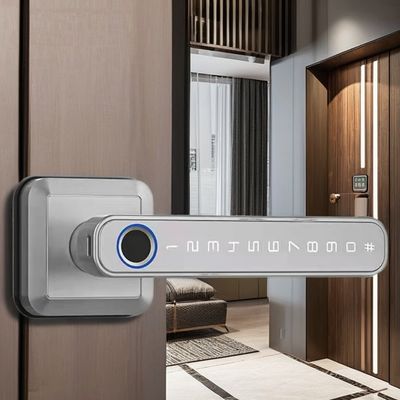Wi-Fi Conectado Bluetooth Entrada Bloqueio Mão para Modern Simplicity estilo fechadura de porta