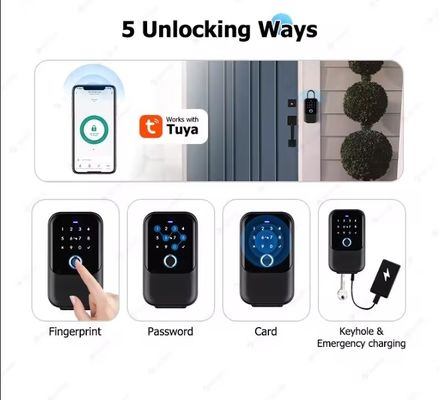Casa Hotel Escritório Wifi Conectado Smart Lock Tuya Network Password Box Eletrônico Portão Metal Vidro IP65 Impermeável