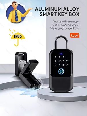 Casa Hotel Escritório Wifi Conectado Smart Lock Tuya Network Password Box Eletrônico Portão Metal Vidro IP65 Impermeável