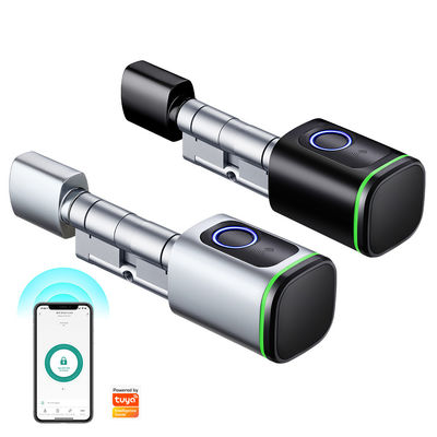 Controle de APP móvel TUYA Smart Fingerprint Door Lock com abertura de porta de tipo Silver Twist