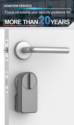 Porta do quarto teclado digital Ttlock Smart Home Manobrar porta fechado Bateria de longa duração