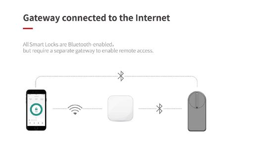 Introdução do bloqueio de porta inteligente Wifi cinza para armazenamento de cartões de memória de portas de madeira Tuya