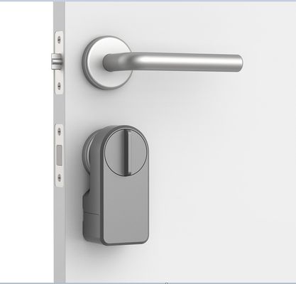 Aplicação Tuya de liga de zinco Wifi senha sem fio fechadura de porta azul inteligente para 95% de portas