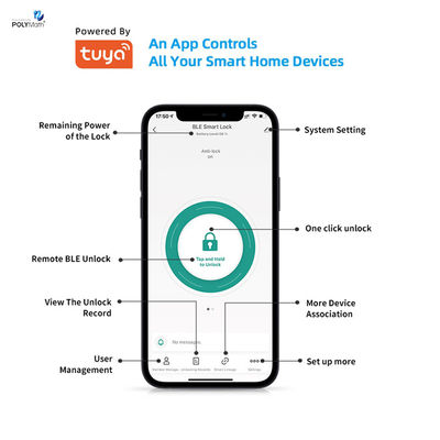 Rede Bluetooth Moderno TUYA Smart FrigoríficoPrint Bloqueio de cilindro para porta do quarto