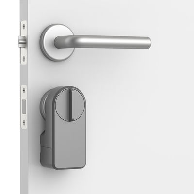 Função de alarme Retrofit cinza fechadura de porta Smart Knob para Bluetooth Gateway e Deadlock