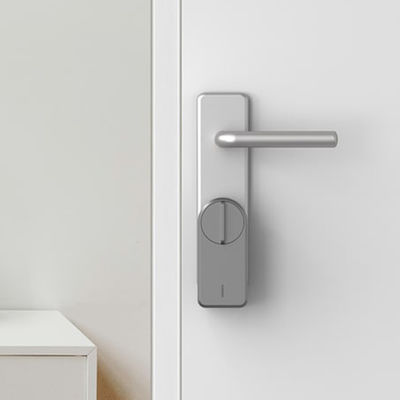 Grão Tuya Ttlock App Automático Digital Cartão RFID Euro Cylinder Lock Eletrônico Smart Door Lock em cinza
