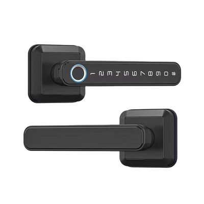 Material de liga de zinco Wifi habilitado fechadura de porta de impressão digital impermeável IP66 para porta de madeira