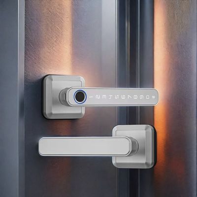 Material de liga de zinco Wifi habilitado fechadura de porta de impressão digital impermeável IP66 para porta de madeira