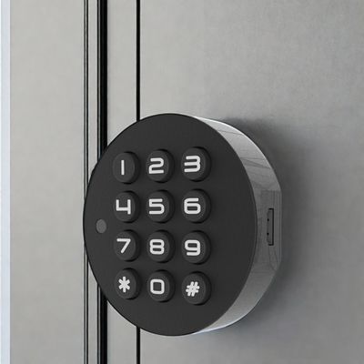 Blue Tooth Network Mini Fingerprint Armários de sala de estar para abastecimento direto de porta de madeira