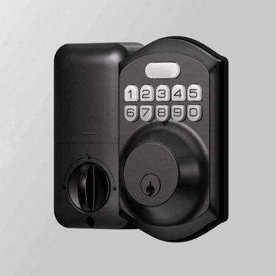 Competitivo Casa Tuya Impressão digital elétrica porta sem chave Smartlife Lock Door Set