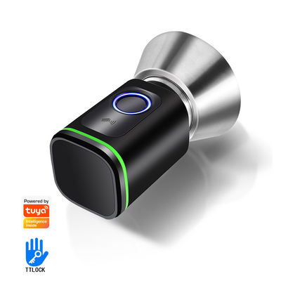Proteja sua casa com o TUYA WiFi BLE Smart Bedroom Door Lock Cylinder e Cartão de Memória