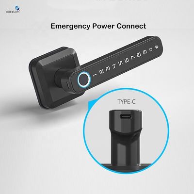 Estilo de liga de zinco impressão digital fechadura de porta com Tuya Wifi App desbloquear método impressão digital