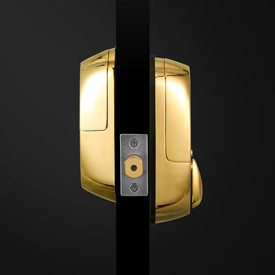 Porta de madeira de alta segurança cor dourada impermeável deslizante Smart impressão digital fechadura de porta 42,1 * 35,6 * 51,5 cm