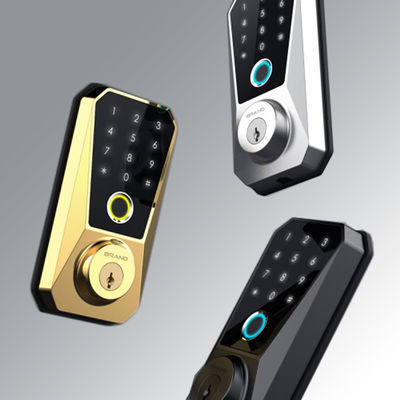 Fechadura inteligente de liga de zinco personalizável Competitiva para fechadura de porta com impressão digital habilitada para Wifi