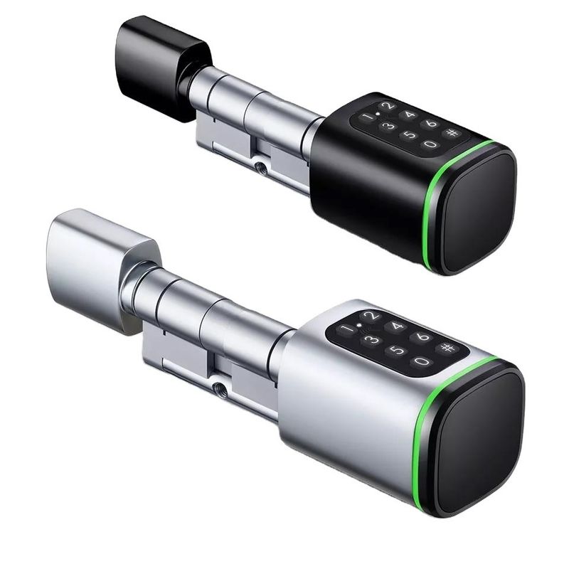 Cartão de memória Smart Digital Lock Tuya Wifi App Segurança para Home Office cilindro oval pequeno