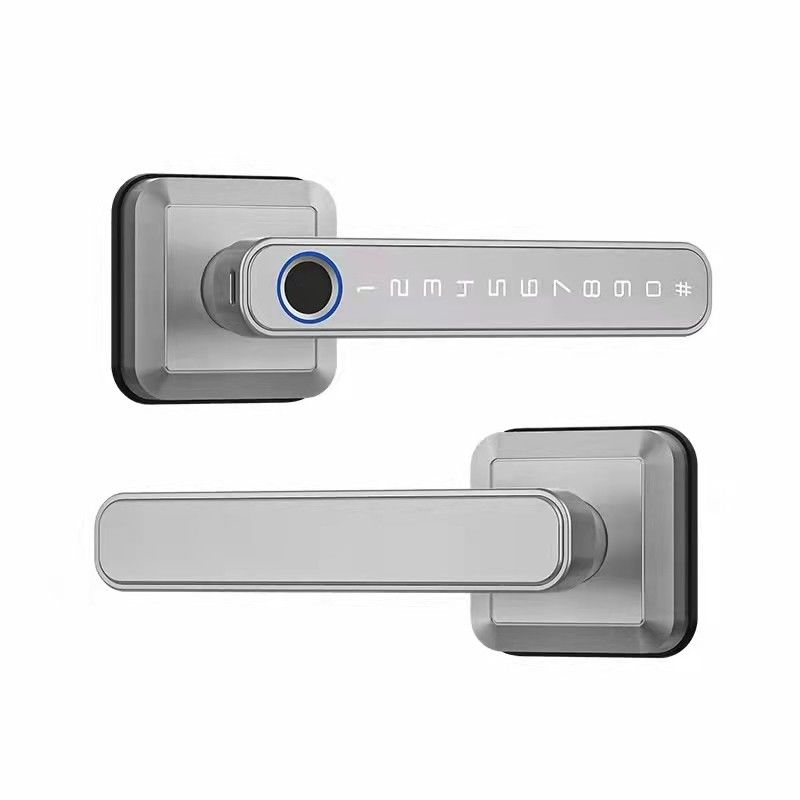 Tipo-C fonte de alimentação WiFi Bluetooth Smart Home Lock com impressão digital segurança sem chave
