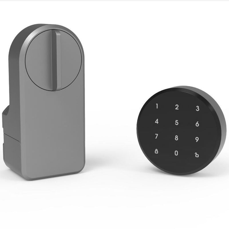 Introdução do bloqueio de porta inteligente Wifi cinza para armazenamento de cartões de memória de portas de madeira Tuya
