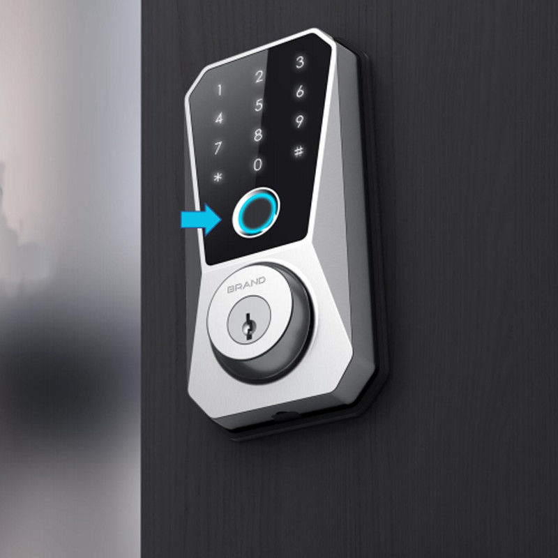 Fechadura inteligente de liga de zinco personalizável Competitiva para fechadura de porta com impressão digital habilitada para Wifi